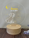 a clear acrylic plaque with a picture of a dog on it