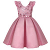 Princess Dress for Girls Tutu Girls